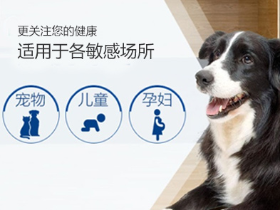 北京滅跳蚤公司，殺跳蚤公司哪家好