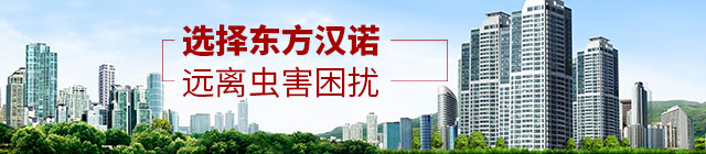 選擇東方漢漢諾，遠(yuǎn)離蟲害困擾